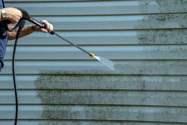 Best Deck Pressure Washing  in Roan Mountain, TN