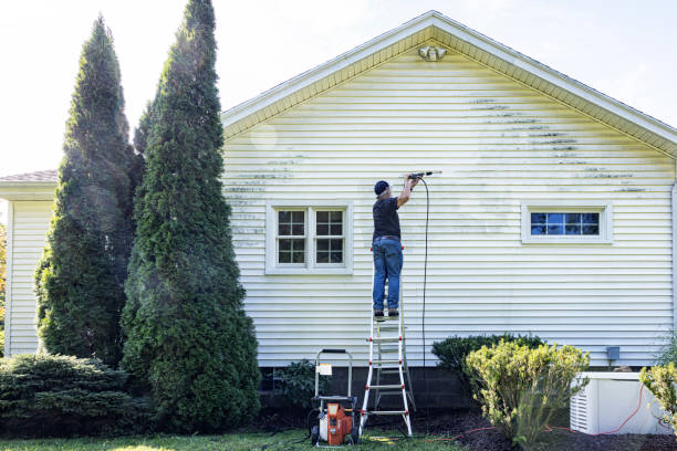 Best Sidewalk Pressure Washing  in Roan Mountain, TN