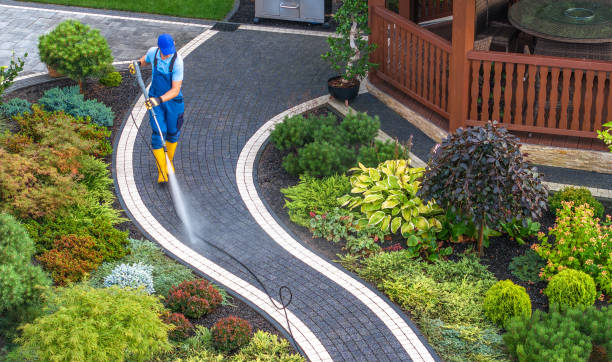 Best Residential Pressure Washing Services  in Roan Mountain, TN